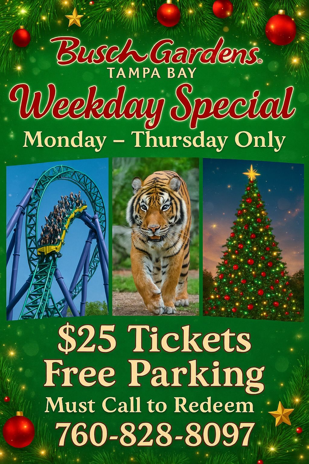 🎄✨ BUSCH GARDENS TAMPA BAY HOLIDAY SPECIAL ✨🎄