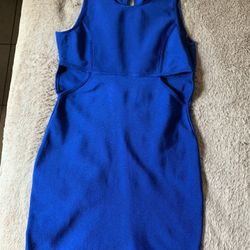 Spandex Dress