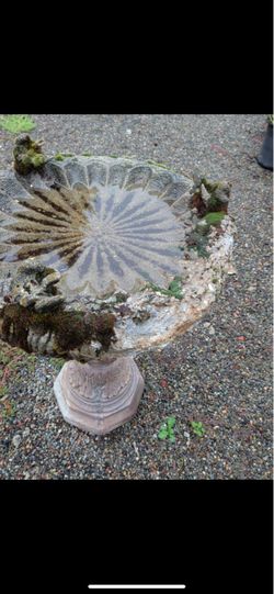 Bird bath