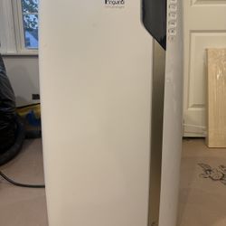 Delonghi Penguino 