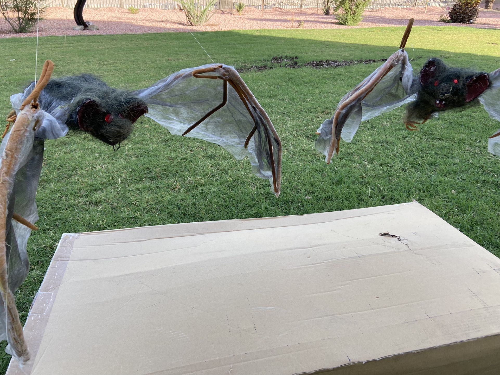Bat Halloween Decoration