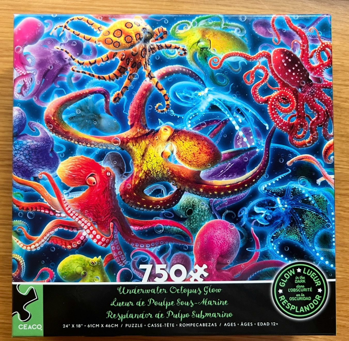 750 Piece Glow-in-the-Dark Puzzle