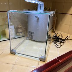 Little Fish Tank Aquarium 
