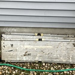 Gorilla latter, painting table