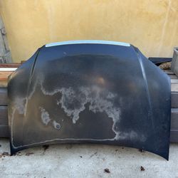 Honda Civic 2000 Sedan Hood