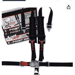 5 Point Harness