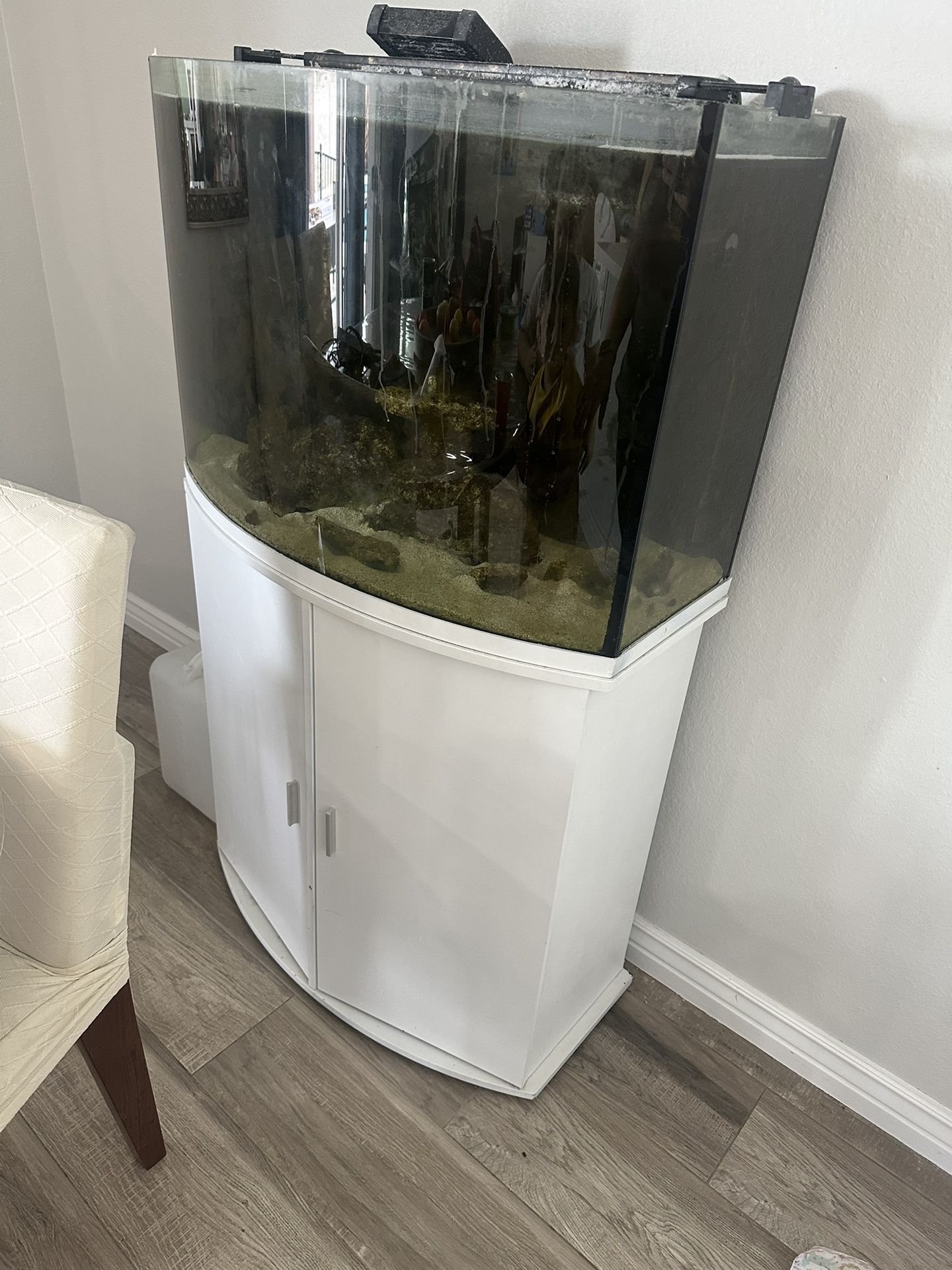 36 Gallon Fish Tank
