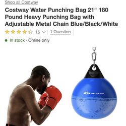 Water Punching Bag
