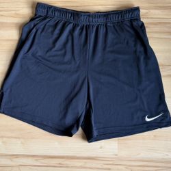 Nike Shorts Men’s Size Large