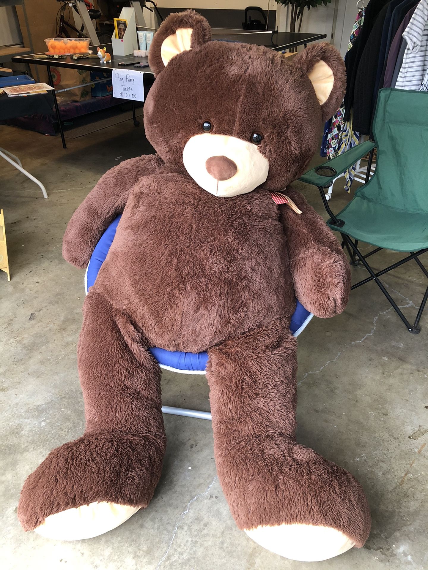 FREE! Life-Size Teddy Bear