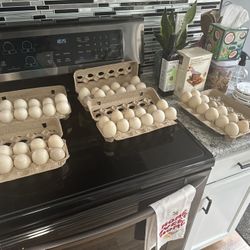 Duck Eggs