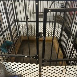 5x5 Kennel 