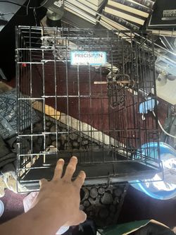 Dog Crate