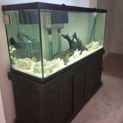 125 Gal. Fish Tank W/overflow Box and Sump