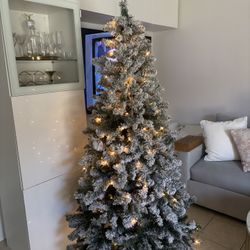 Pino De Navidad 7” 1/2