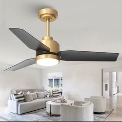 Ceiling Fan