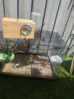 Bird cage