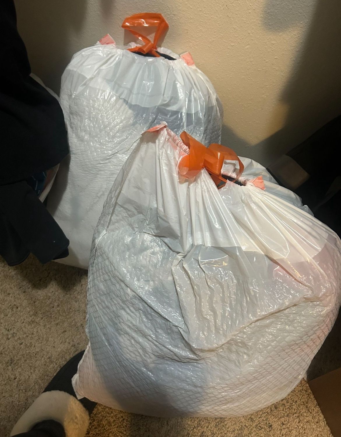 Women’s Clothes (shirts, jeans, dresses, etc)