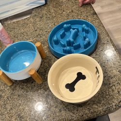 dog bowl