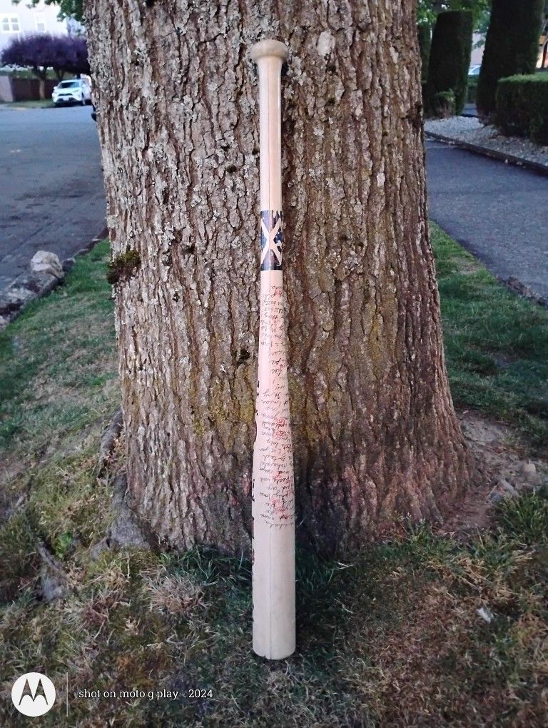 Harley Quinn Baseball Bat