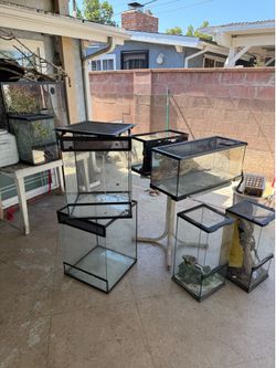Reptile enclosure(s)