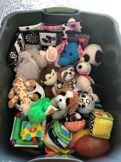 Baby Toys  & Stuff Animals
