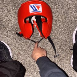 FAKE Winning headgear