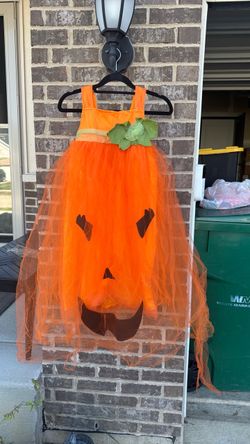 Pottery barn pumpkin costume