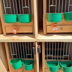 Song Canary Bird Training Cage - Perfect for Waterslager Canaries