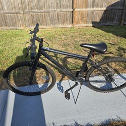 Bicycle Ages 10 To 14