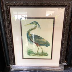 Big, Quality Framed Audubon Heron Print, 2.5 Feet Tall!