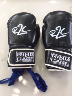 Ring to Cage Kickboxing Gloves