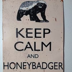 Metal Sign Keep Calm & Honey Badger On Funny Meme Wall Art Room Aesthetic