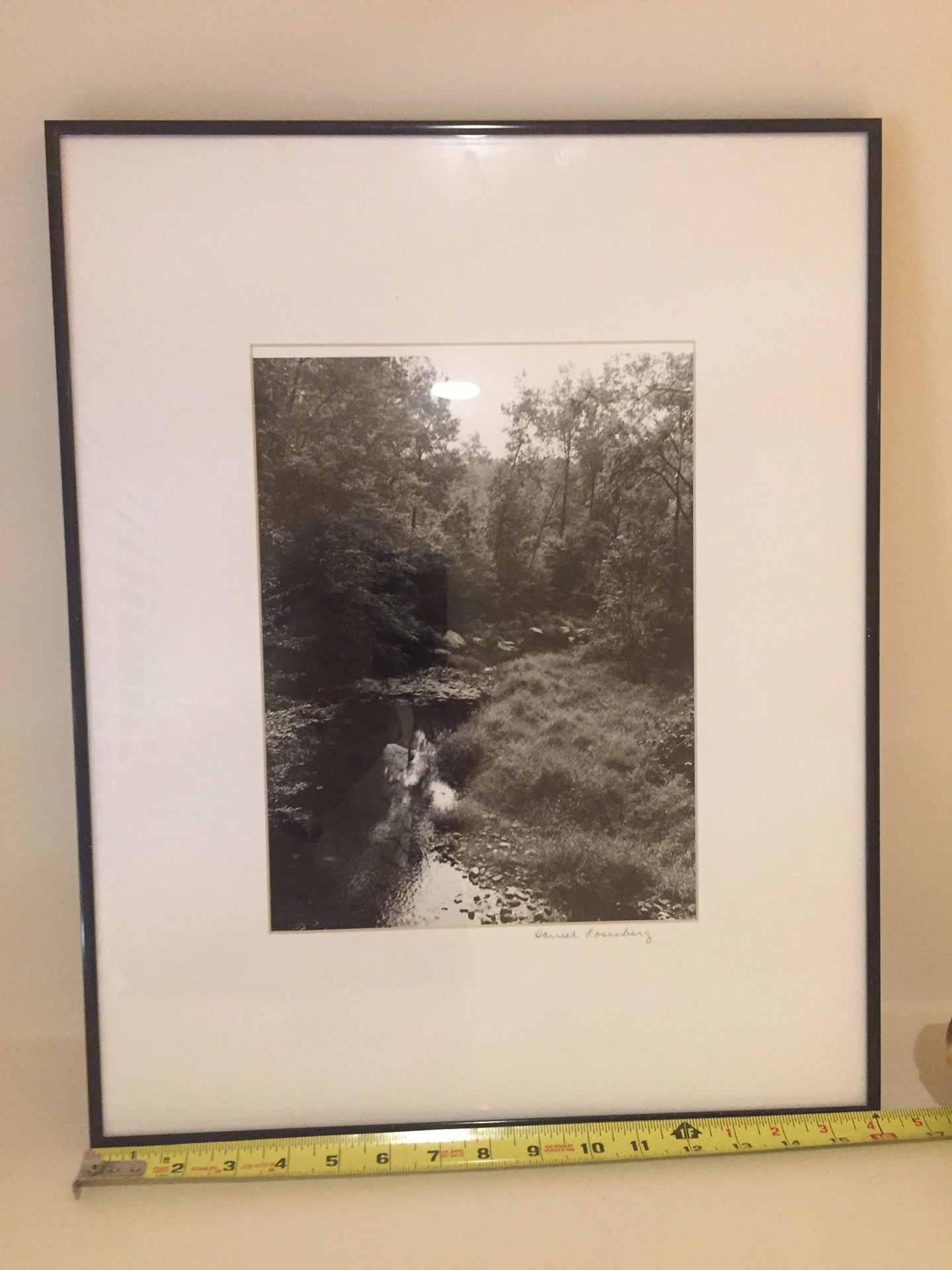 Photo - Rock Creek Park - Signed: Harriet Rosenberg