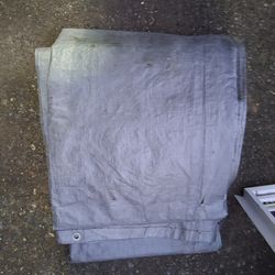 Tarp