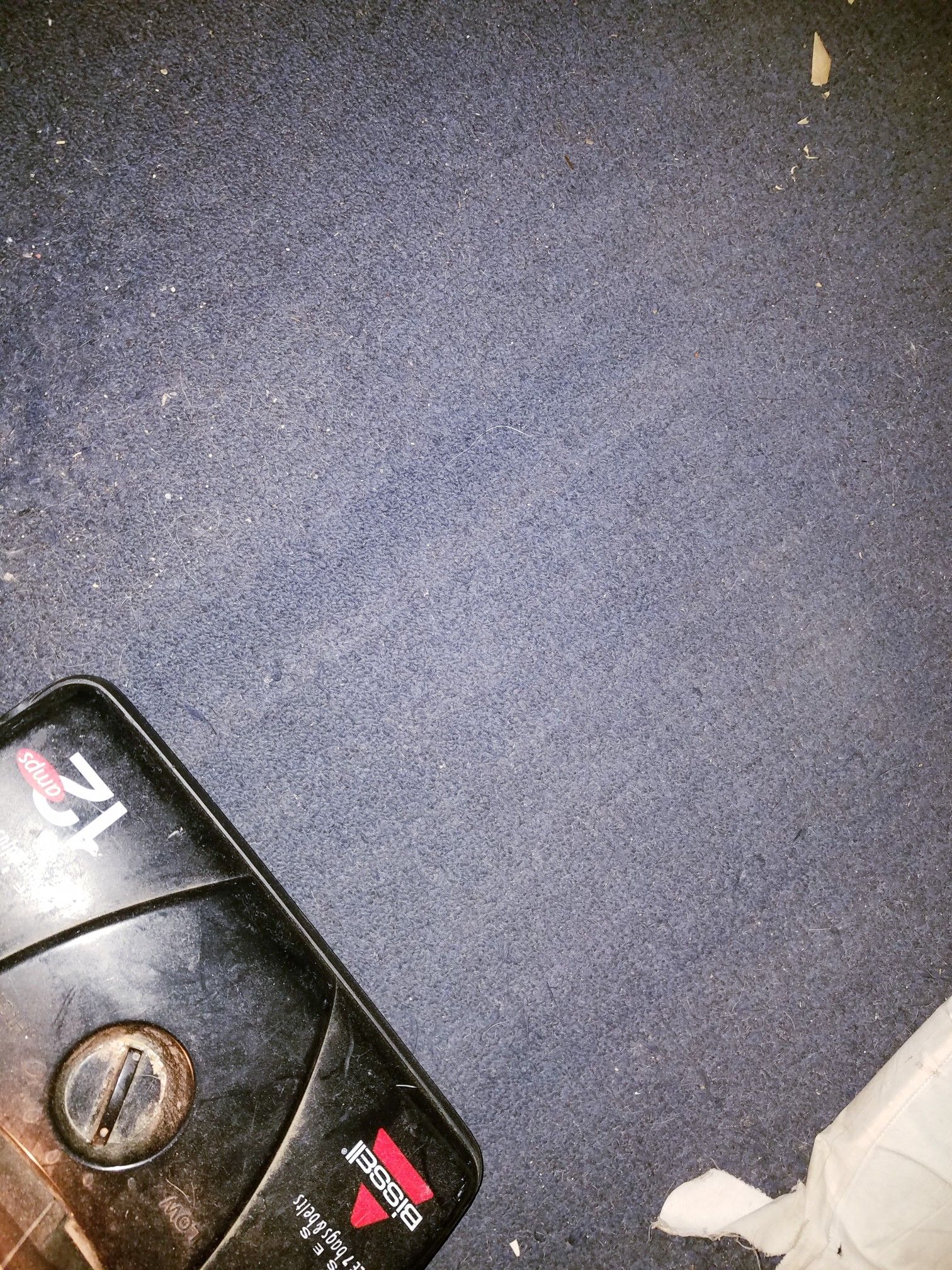 Bissell vacuum powerforce 12 amps