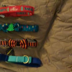 Dog Collars