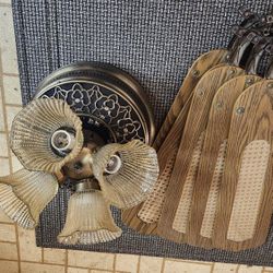 Light And Cieling Fan
