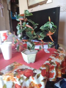 Planta artificial muy bonita $10