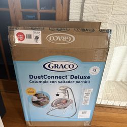 Graco Swing & Skip Hop Activity 