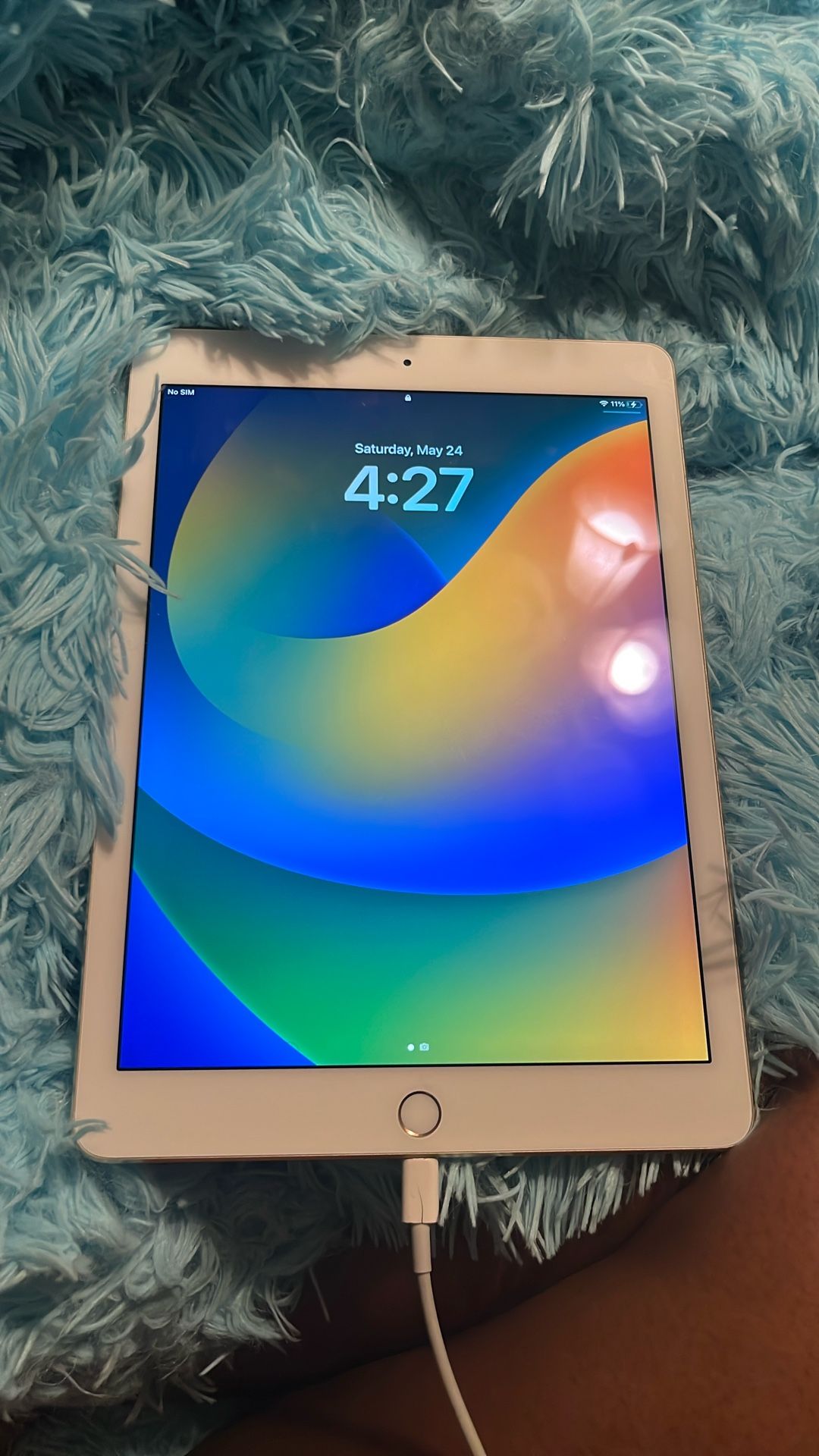 iPad Pro 9.7 Inch