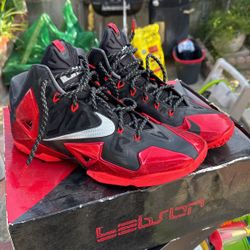 LeBron 11’s