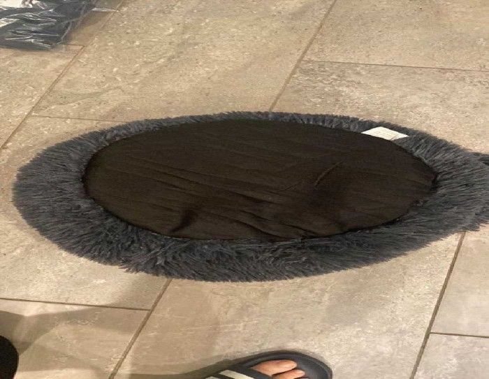 Soft & Cuddly Pet Bed - Best Comfort for Your Furry Companion attorney trouble