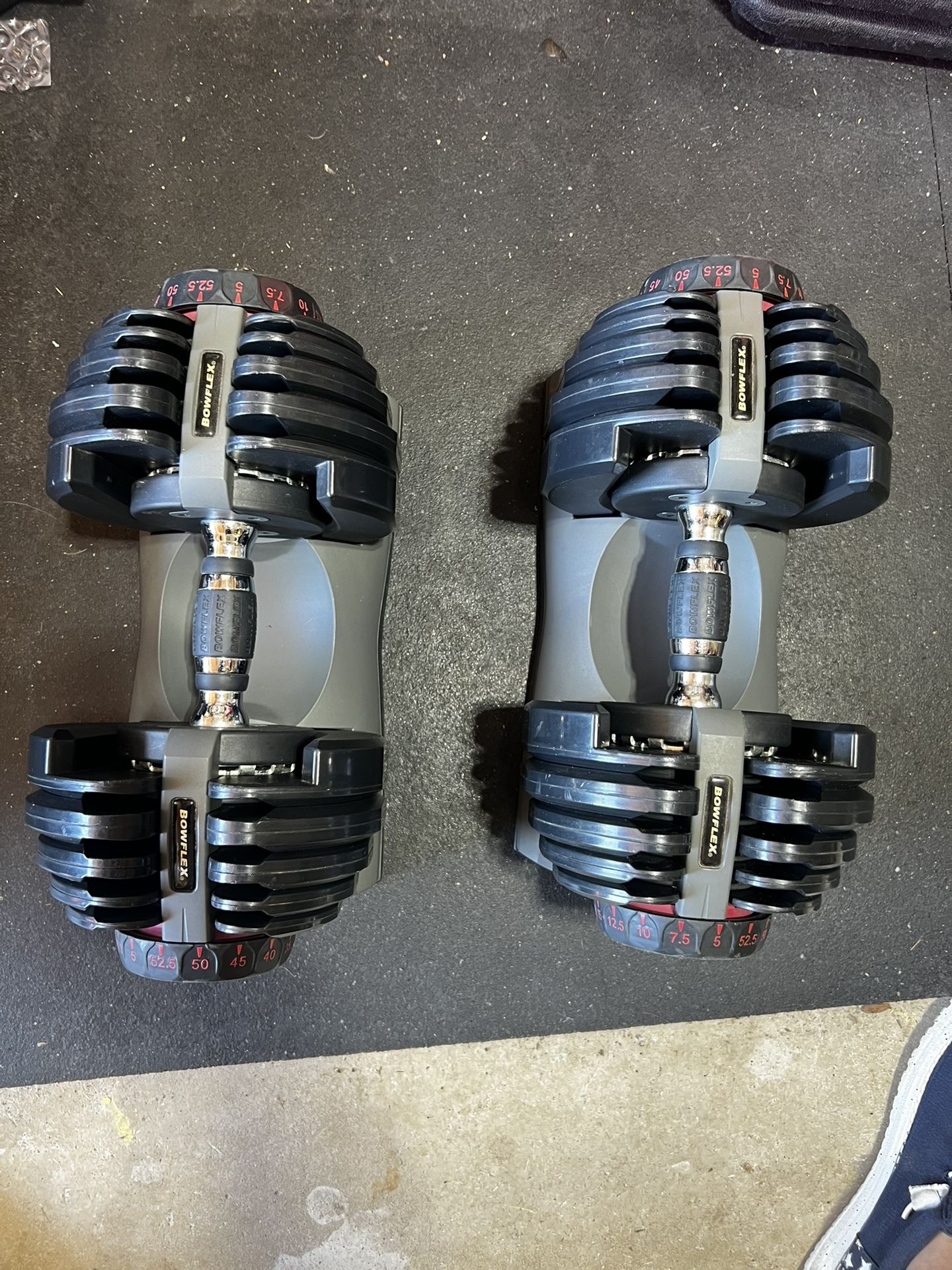 Bowflex 552 Dumbbells