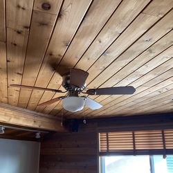 Ceiling Fan 