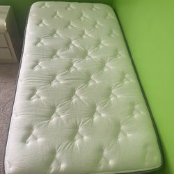 Twin Mattresses 