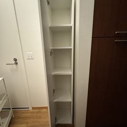 Tall Skinny Book Shelf Cabinet 