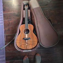 Taylor GS Mini 