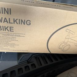 Mini Kids Walking Bike