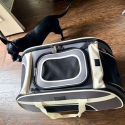Airline Approved Top-Expanding Pet Carrier on Wheels- Rolling Carrier